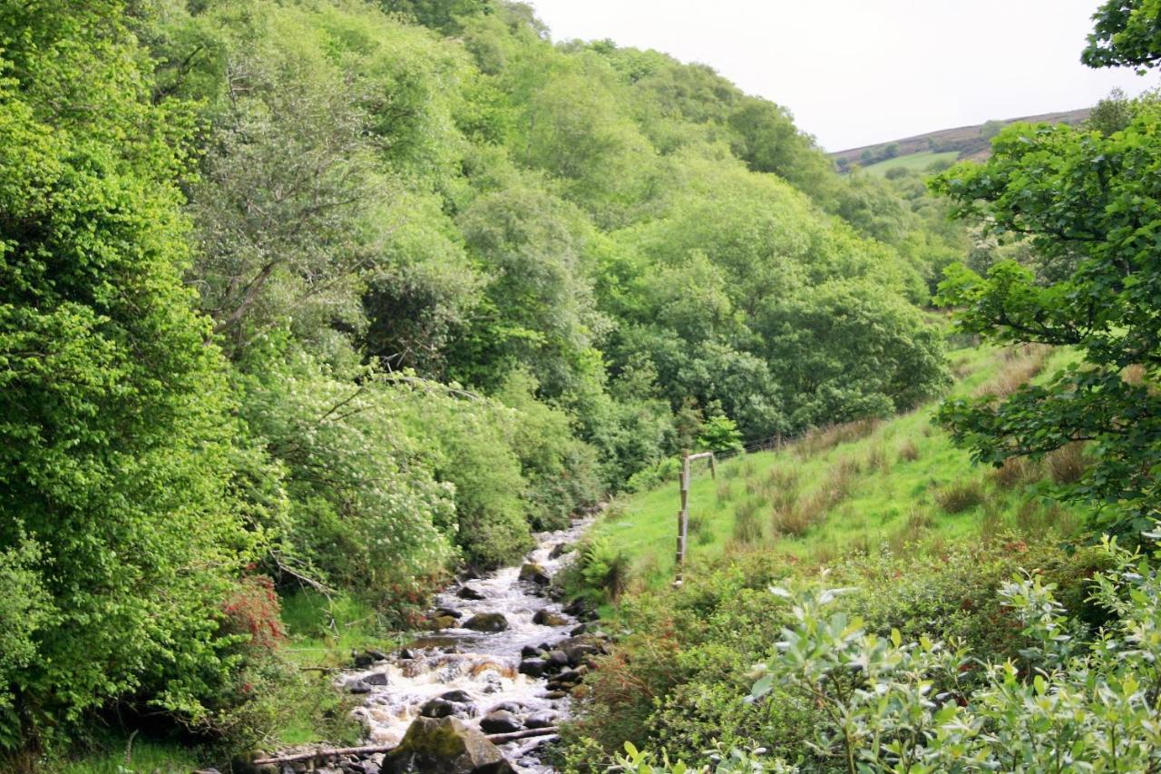 Wild Atlantic View Inishowen Грийнкасъл Екстериор снимка