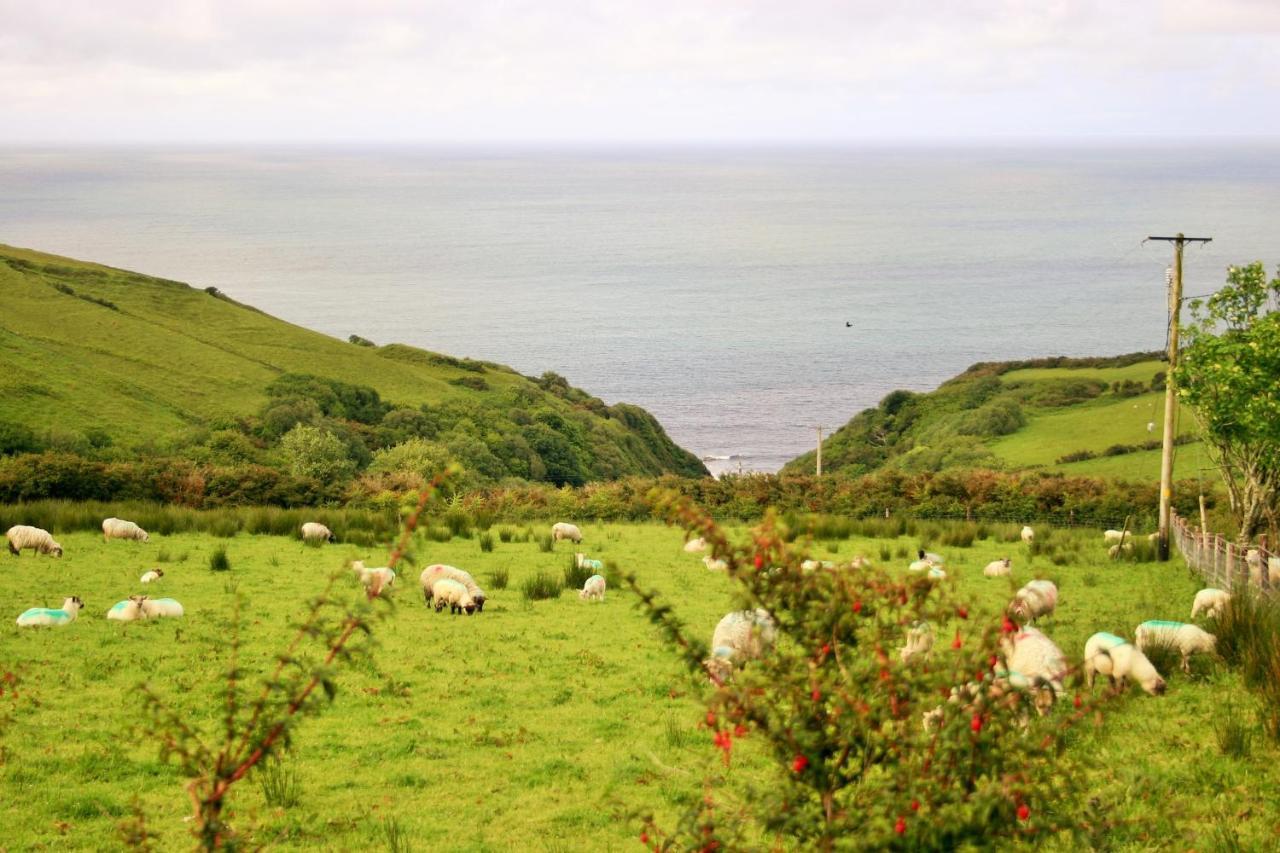 Wild Atlantic View Inishowen Грийнкасъл Екстериор снимка